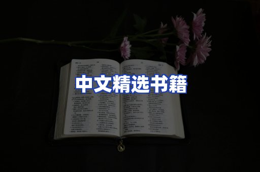 中文精选书籍